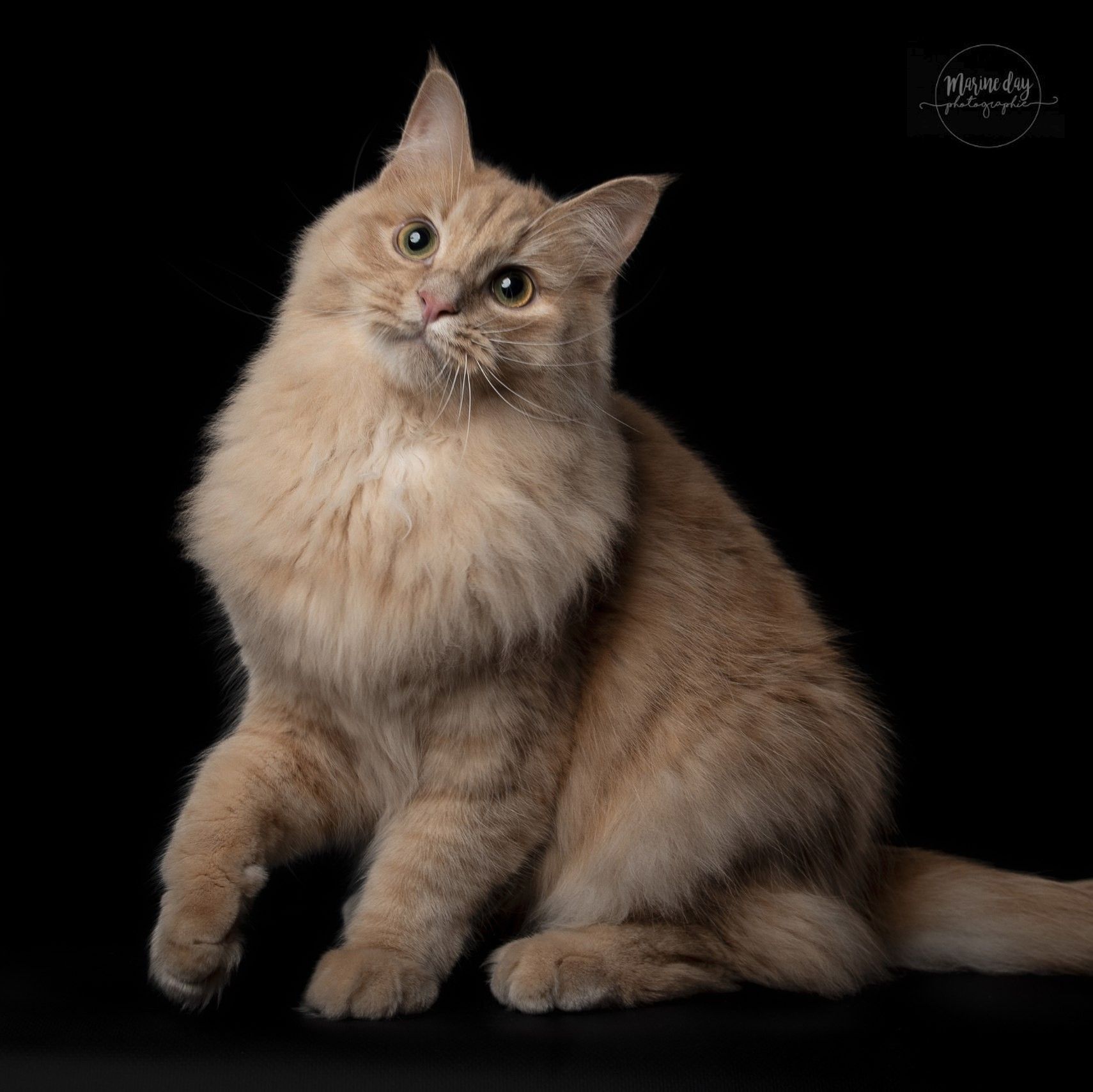 photo de Scratch